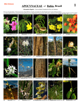 APOCYNACEAE of Bahia, Brazil - Field Guides