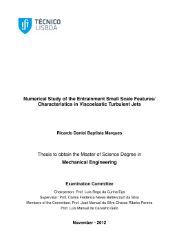 Numerical Study of the Entrainment Small Scale Features
