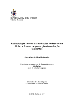 Dissertação Mestrado Final João Moreira