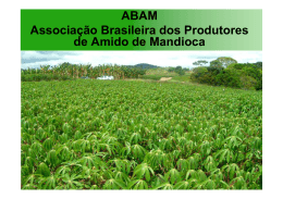ABAM Associação Brasileira dos Produtores de Amido de Mandioca