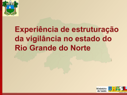 Experiência de estruturação da vigilância no estado do Rio Grande