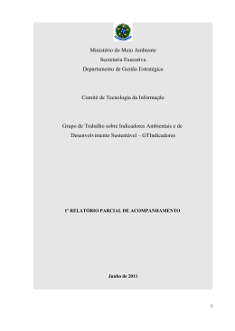 Primeiro Relatório Parcial do GTIndicadores publicado em junho 2011