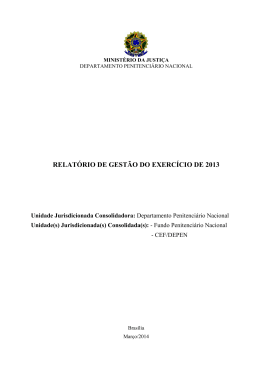 relatório de gestão do exercício de 2013