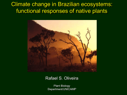 Climate change in Brazilian ecosystems: functional