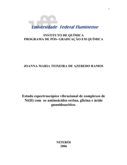 versão pdf - Universidade Federal Fluminense