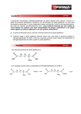 O glutamato monossódico (hidrogenoglutamato de sódio