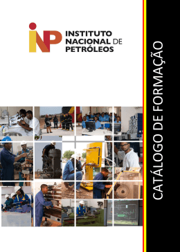 Catálogo de Formação - Instituto Nacional de Petróleos