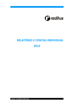 RELATÓRIO E CONTAS INDIVIDUAL 2013