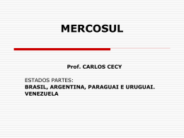 Palestra Mercosul Prof. Cecy