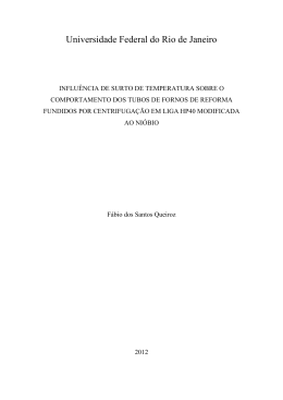 Universidade Federal do Rio de Janeiro - Poli Monografias