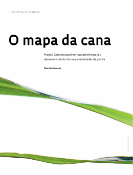 O mapa da cana - Revista Pesquisa FAPESP