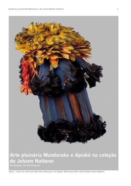 Arte plumária Munduruku e Apiaká na coleção de Johann Natterer