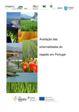 Avaliação das externalidades do regadio em Portugal