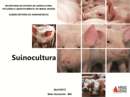 carne suína - Secretaria de Estado de Agricultura, Pecuária e