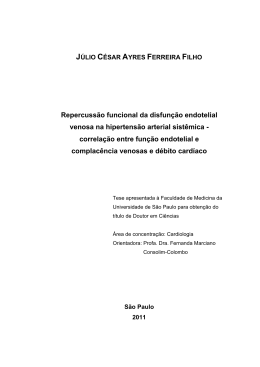 Júlio César Ayres Ferreira Filho - Biblioteca Digital de Teses e