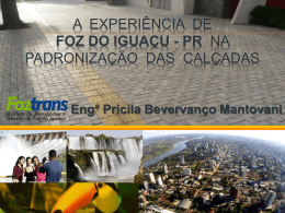 Assessibilidade em áreas públicas de Foz do Iguaçu