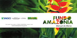 Manual da Marca - Fundo Amazônia