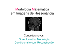 Morfologia com reconstrução - Instituto de Computação