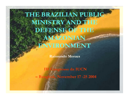 THE BRAZILIAN PUBLIC MINISTRY AND THE