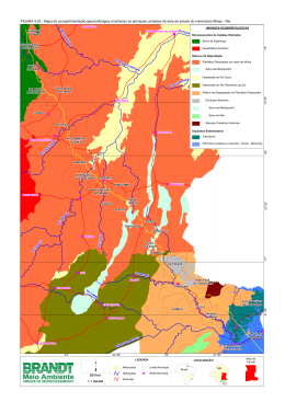 FIGURA 4.25 - Mapa de compartimentação geomorfológica