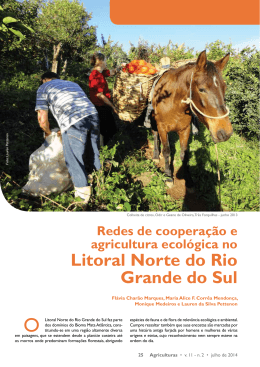 Litoral Norte do Rio Grande do Sul - AS-PTA