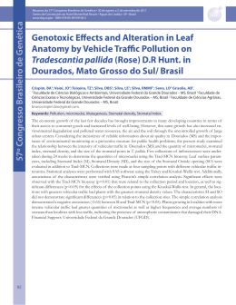 Genotoxic Effects and Alteration in Leaf Anatomy by Vehicle Tra c