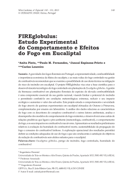 FIREglobulus: Estudo Experimental do Comportamento e