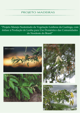 “Projeto Manejo Sustentado da Vegetação Lenhosa da Caatinga