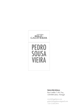 PEDRO SOUSA VIEIRA - Galeria Belo