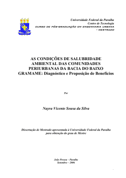 Dissertação Nayra Vicente - Área de Engenharia de Recursos