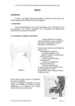 BAÇO Anatomia