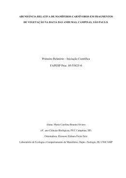 Primeiro Relatório - Iniciação Científica FAPESP Proc. 05