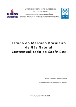 Estudo do Mercado Brasileiro de Gás Natural Contextualizado ao