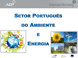 Setor Português do Ambiente e Energia | Junho de