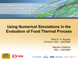 Using Numerical Simulations in the Evaluation of Food Thermal