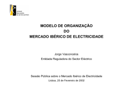 modelo de organização do mercado ibérico de electricidade