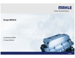 MAHLE, Componentes de Motores, SA - Seeds 3