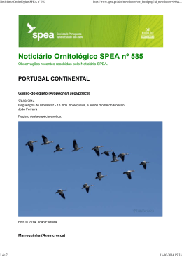 Noticiário Ornitológico SPEA nº 585