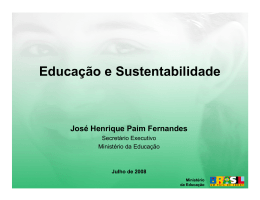 José Henrique Paim Fernandes