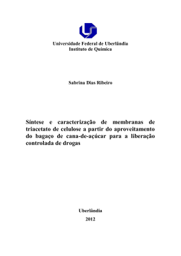 Capítulo 1 - Introdução - RI UFU - Universidade Federal de Uberlândia