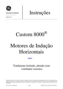 Custom 8000 Motores de Indução Horizontais