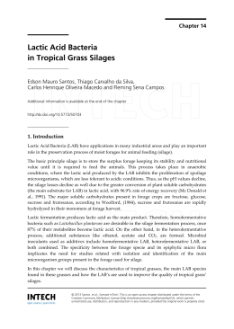 Lactic Acid Bacteria in Tropical Grass Silages