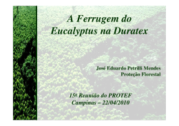 Dr. Engº Agro. José Eduardo Petrilli Mendes, Duratex