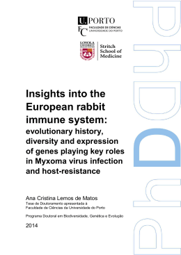Insights into the European rabbit immune system
