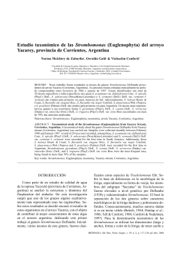 Estudio taxonómico de las Strombomonas (Euglenophyta) del