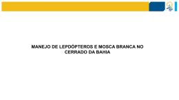 Apresentação do PowerPoint - 10º Congresso Brasileiro do Algodão