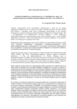 DECLARACIÓN DE MANAUS "PUEBLOS INDÍGENAS