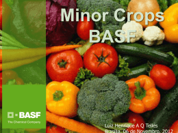 Minor Crops BASF