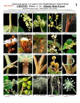 CROTON Trees of the Atlantic Rain Forest - Field Guides