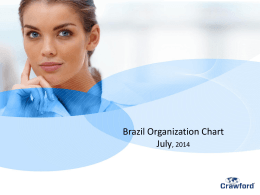 Brazil Organization Chart